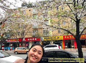 Chengdu avril 2017 - 005